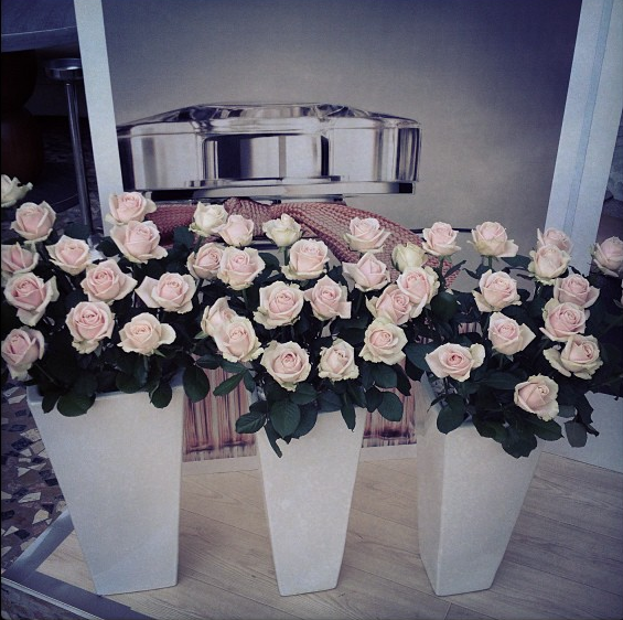 roses de chloe