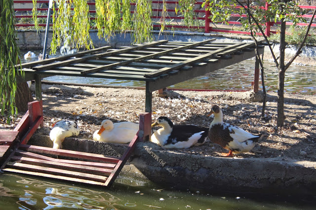 Nezahat Gokyigit Botanik Parkı